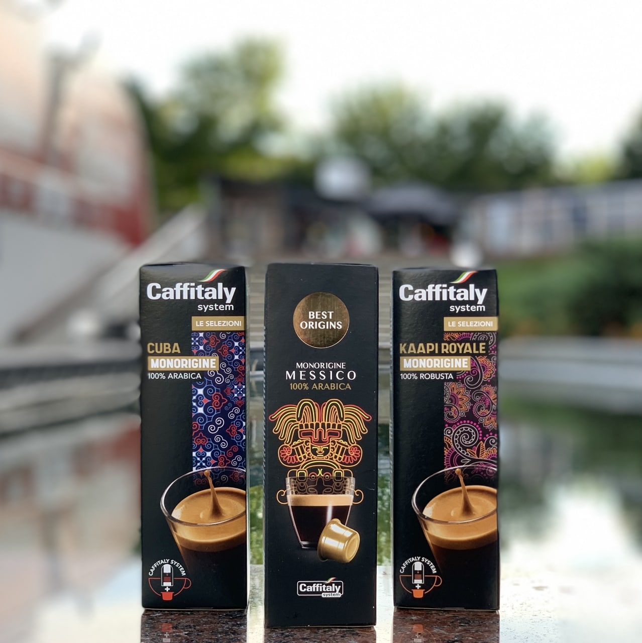 10 Capsule Caffe' Caffitaly System Best Origins Monorigine Kaapi Royale